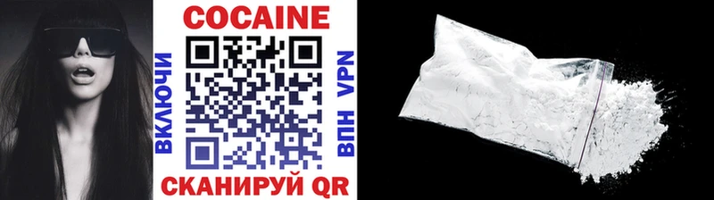 Кокаин Fish Scale  Купить закладки  Мичуринск 