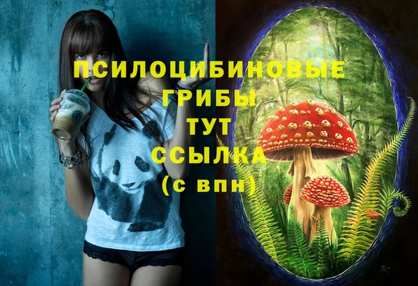 ECSTASY Балабаново