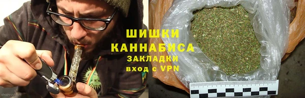 ГАЛЛЮЦИНОГЕННЫЕ ГРИБЫ Балахна