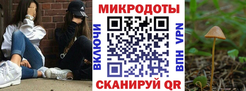 Купить закладки  Мичуринск  Псилоцибиновые грибы MAGIC MUSHROOMS 